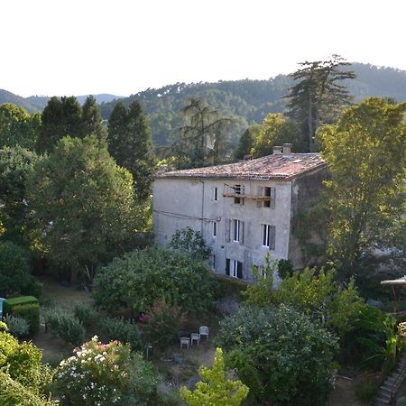 Vista Cevenol: appartement 2 chambres Saint-Jean-du-Gard Esterno foto